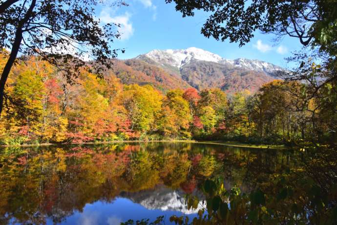 紅葉が美しい大野市の刈込池