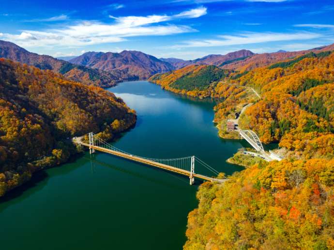 大野市の九頭竜湖と紅葉