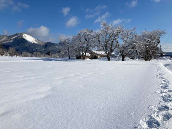 三島町の大林ふるさとの山