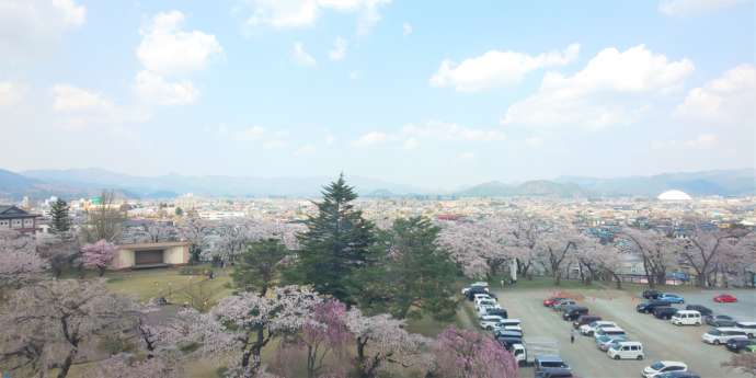 大館市の桜