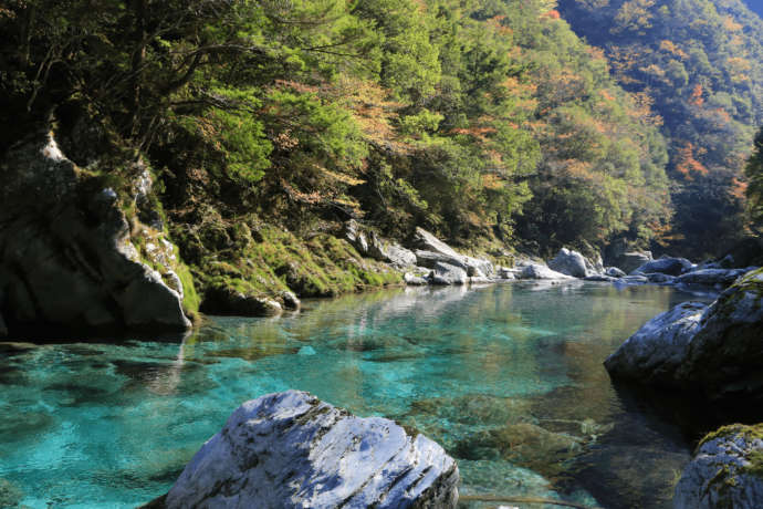 大川村川の風景