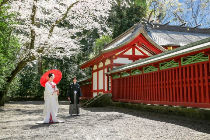 大國魂神社に訪れた場合の見どころやオススメなどはありますか？