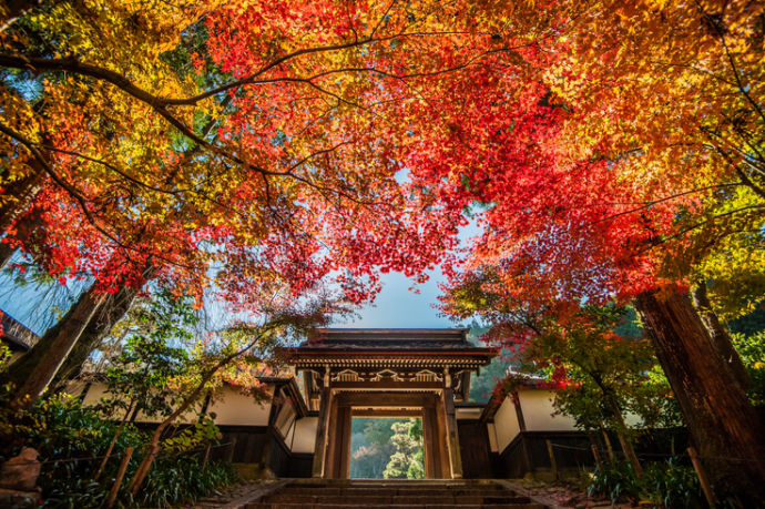 秋の定勝寺の山門