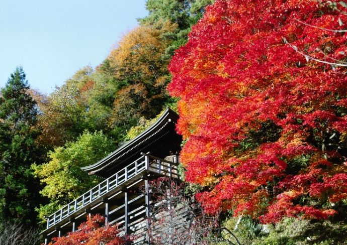 紅葉の季節の岩出観音