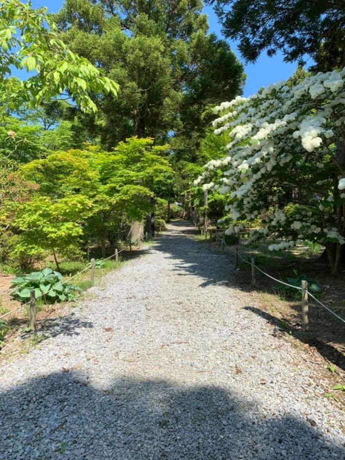 「おおま宿坊 普賢院」の境内の小径