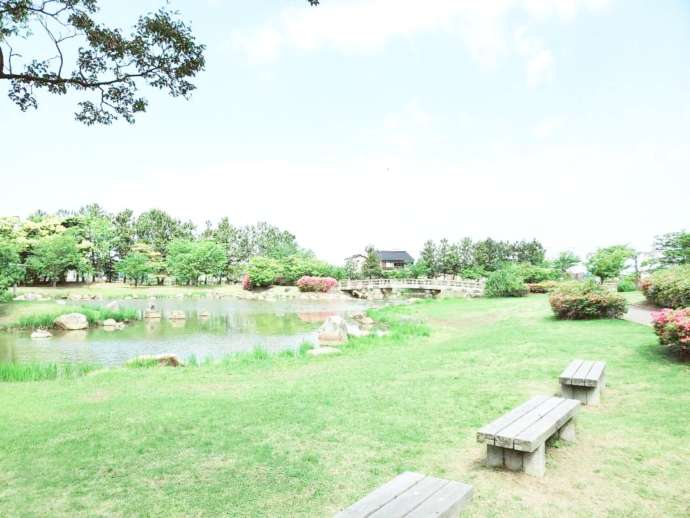 大野湊緑地公園の様子