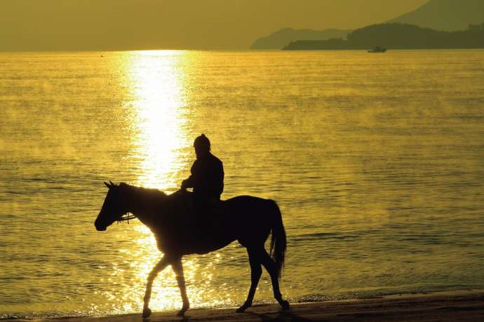 夕焼けの中で海岸調教中の馬と騎手