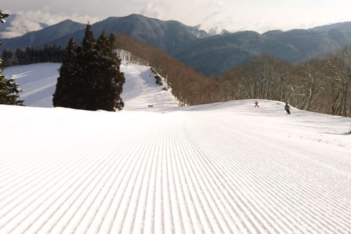 第1リフトの頂上にある山頂コース