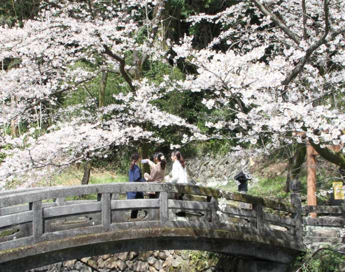 大津町の上井手の風景