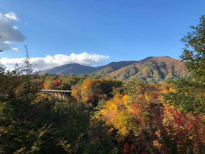 大崎市鳴子峡の紅葉