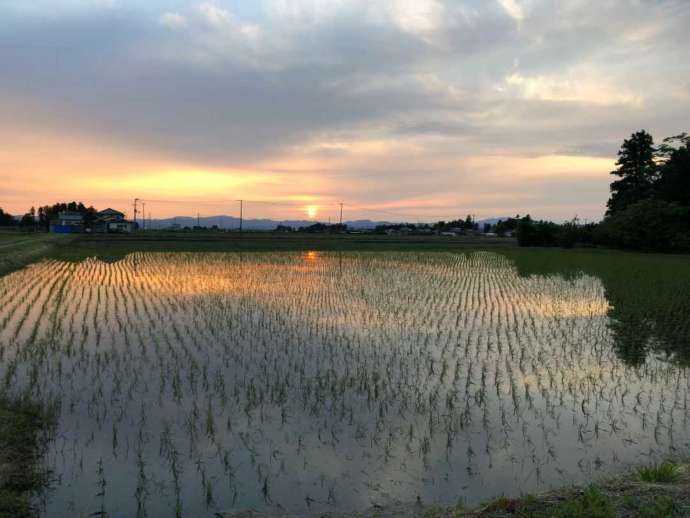 大崎市の田園風景