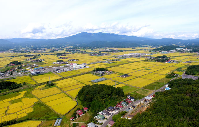 福島県大玉村の田園風景