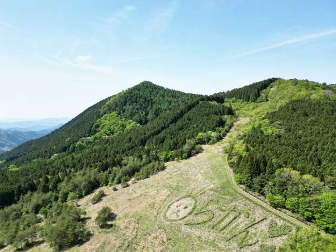 らかん高原の風景