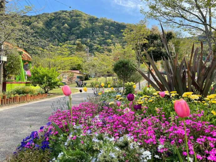 別府ラクテンチ内の花壇で花が咲き誇る様子