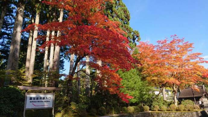 霊宝館駐車場の紅葉