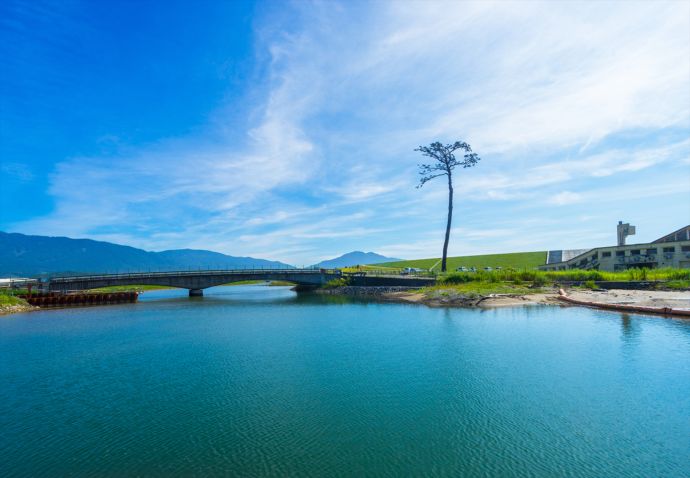 陸前高田市の奇跡の一本松