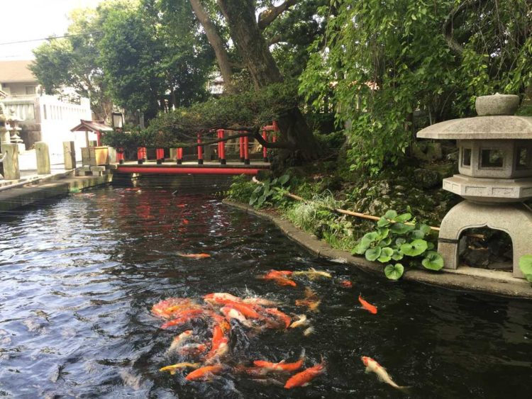 六所神社境内にある池と鯉