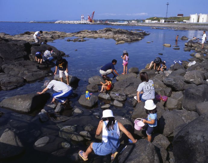 留萌市の黄金岬での磯ガニ釣り