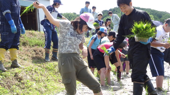 留萌市の農業体験をする子どもたち