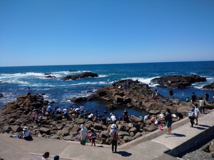 黄金岬海浜公園で磯ガニ釣りを楽しむ人々