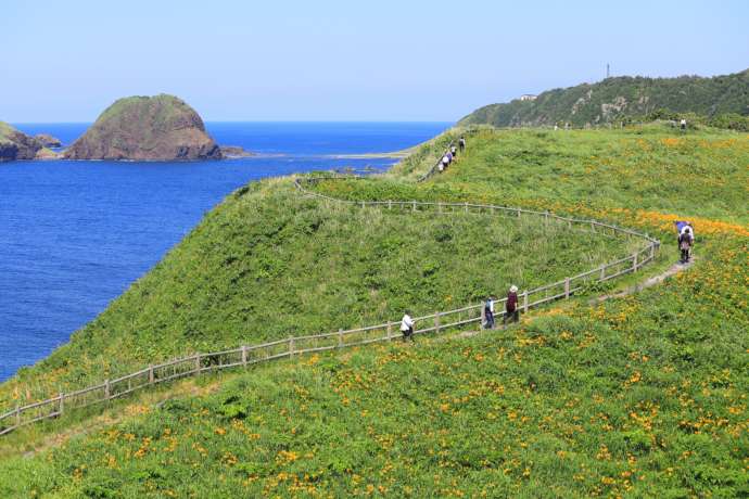 佐渡島にある大野亀