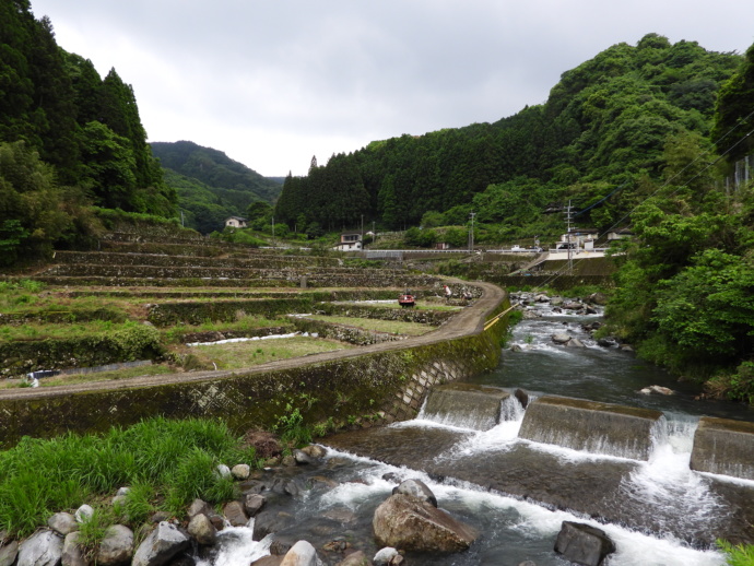 鹿島市の棚田の風景