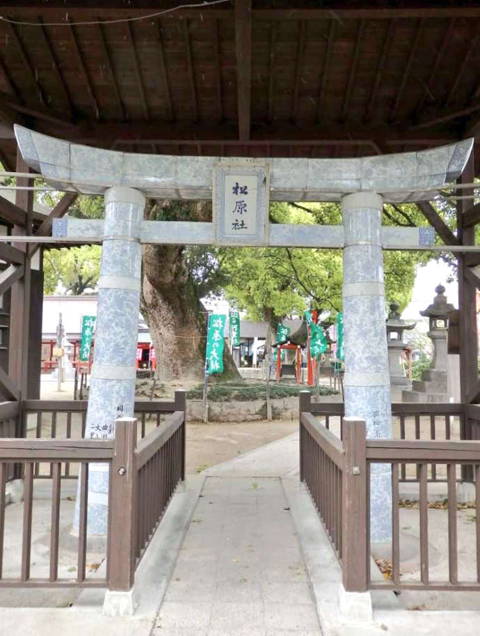 佐嘉神社の境内にある白磁の鳥居