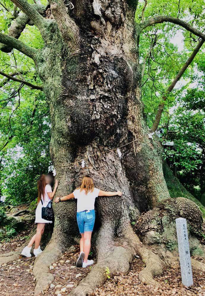 西光寺の縁結び祈願のご利益について