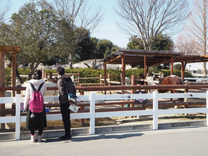 東武動物公園