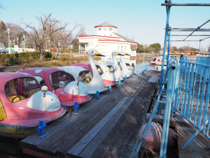 東武動物公園のボート