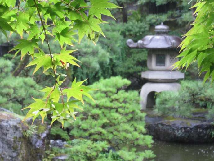 夏の庭園の様子