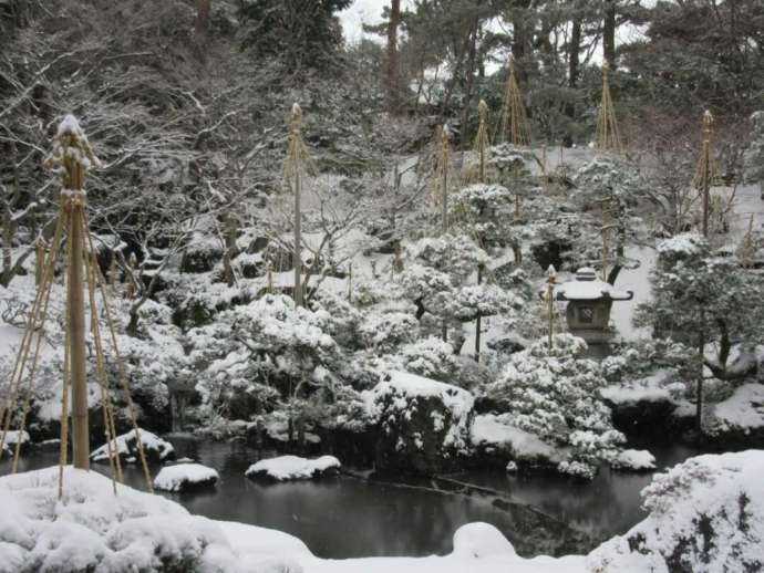 雪化粧の庭園の様子