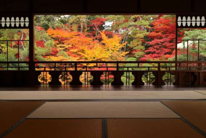 広間から紅葉を眺めた様子