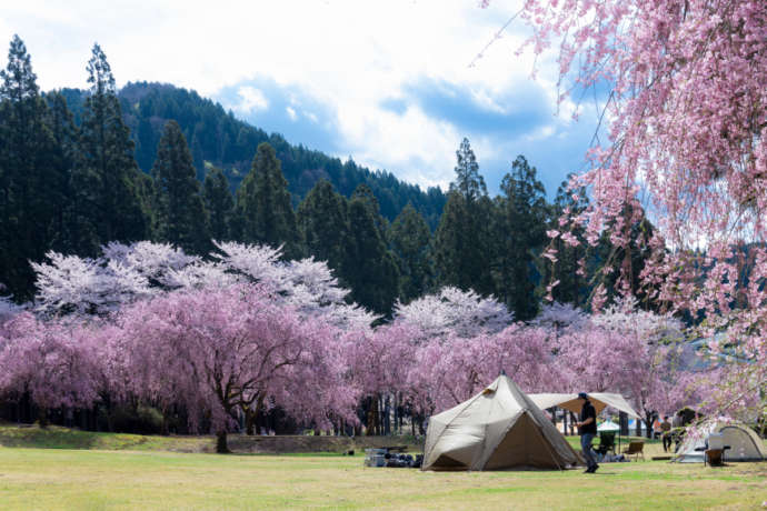 たけくらべ広場のキャンプ場