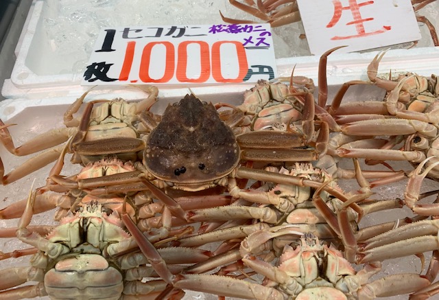 境港さかなセンターで販売される松葉ガニ