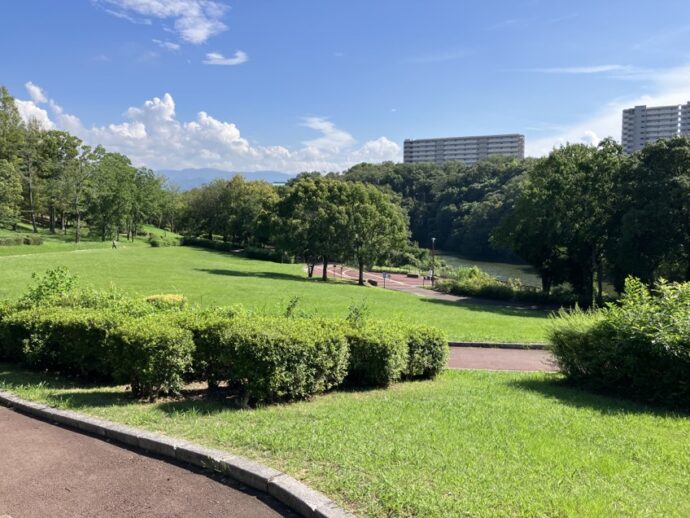 大阪府堺市の公園の写真