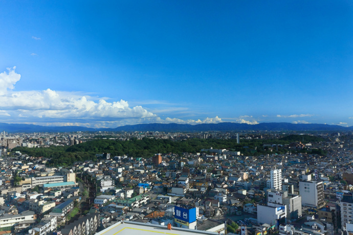 堺市の航空写真