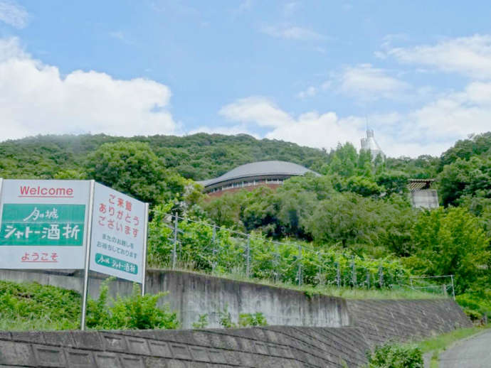 豊かな自然に包まれた山梨県のワイナリー「シャトー酒折ワイナリー」