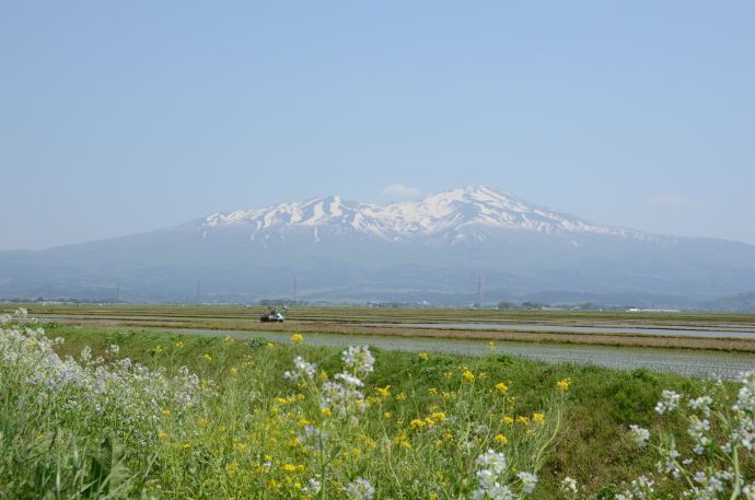 酒田市の鳥海山