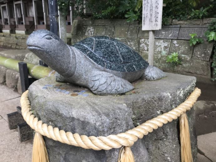 酒列磯前神社の境内にあるおすすめスポット・幸運の亀の石像