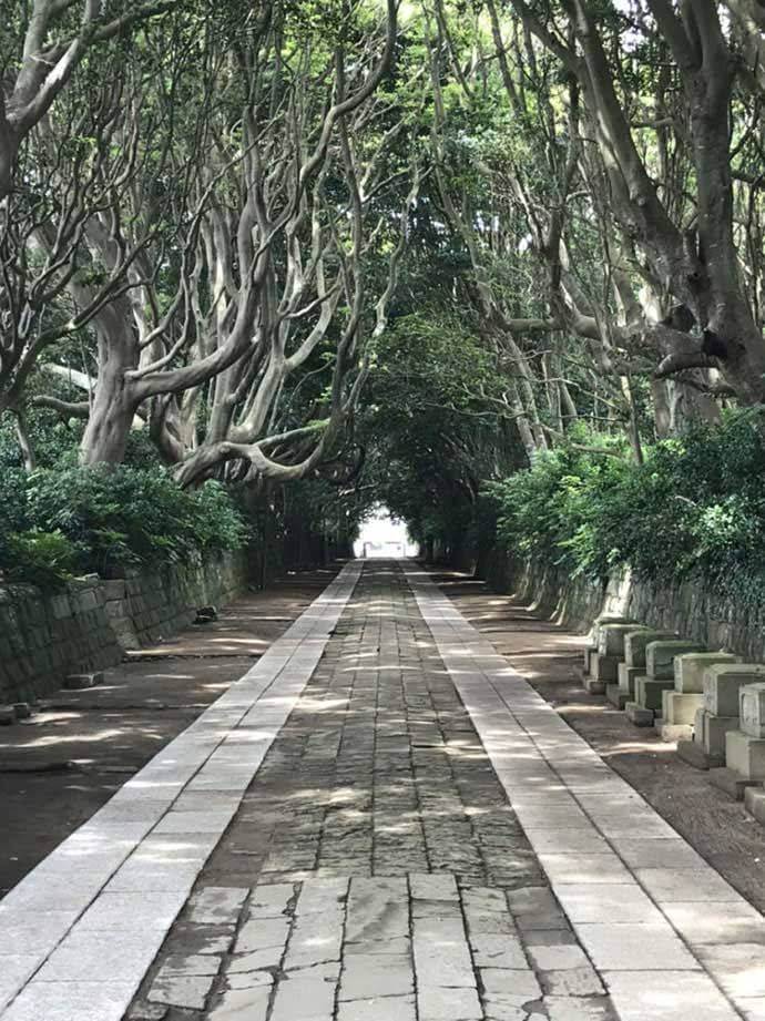 酒列磯前神社で神前結婚式をあげた夫婦からの口コミ