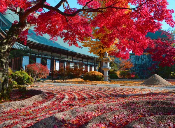 曜光山月山寺の紅葉時の様子