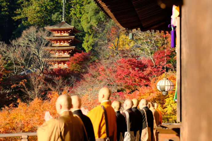 桜井市の長谷寺の風景