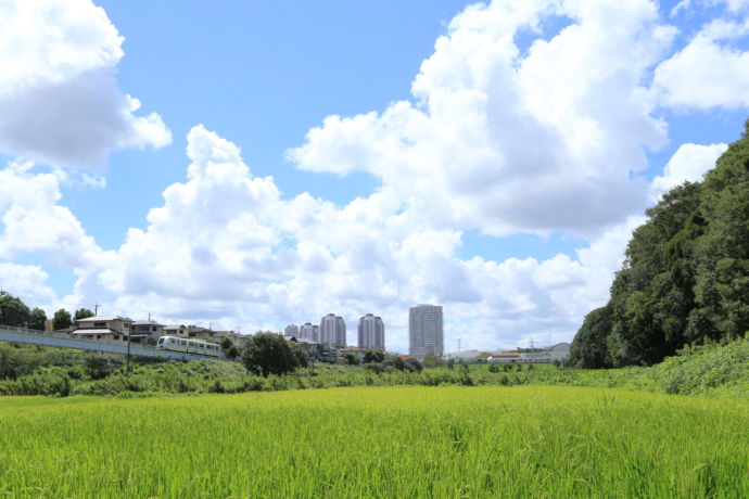 佐倉市に広がる田園風景