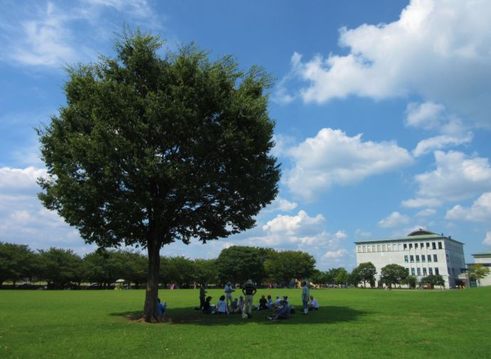 寒川町にある寒川中央公園