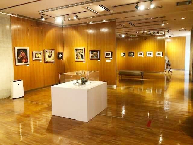 仁摩サンドミュージアムの企画展展示風景