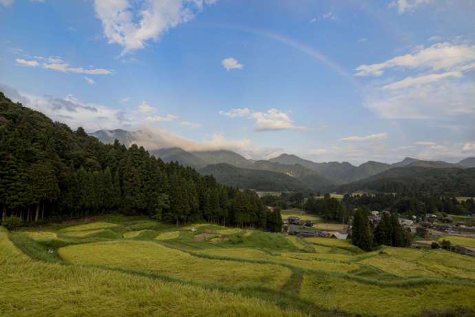 三条市にある美しい棚田の景色