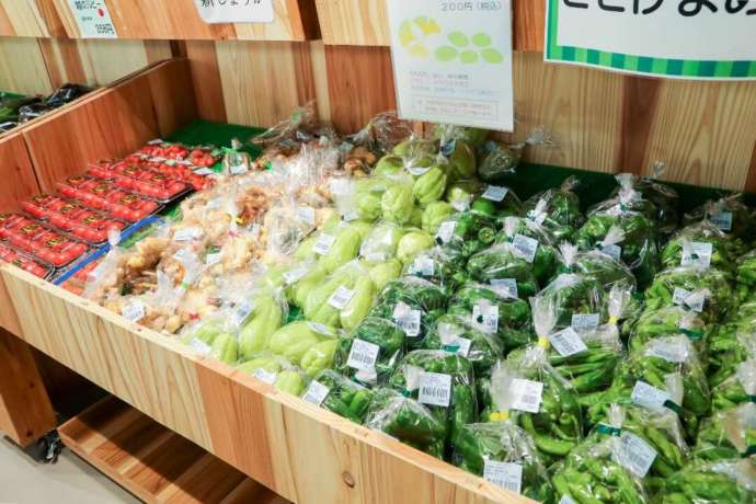 「南えちぜん山海里」の直売場の野菜