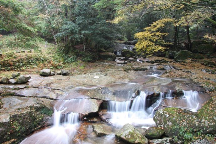 鬼ヶ城山系の清流沿いにある成川渓谷の様子