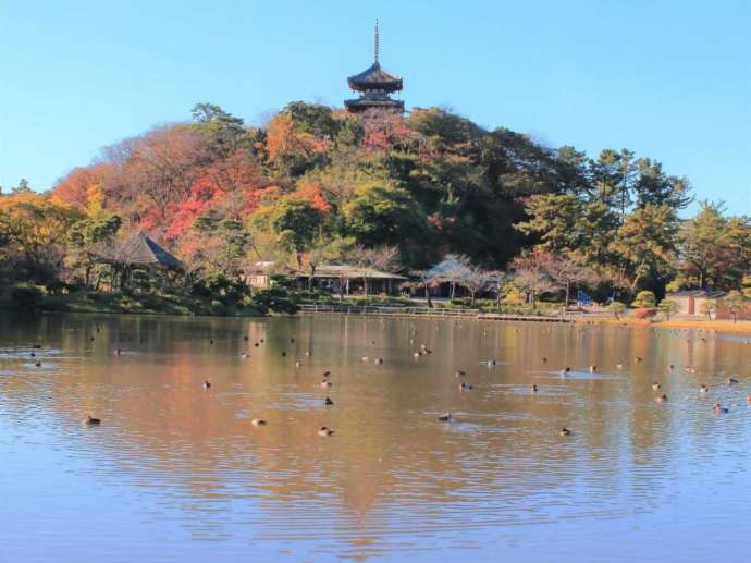 三溪園の紅葉に包まれた風景